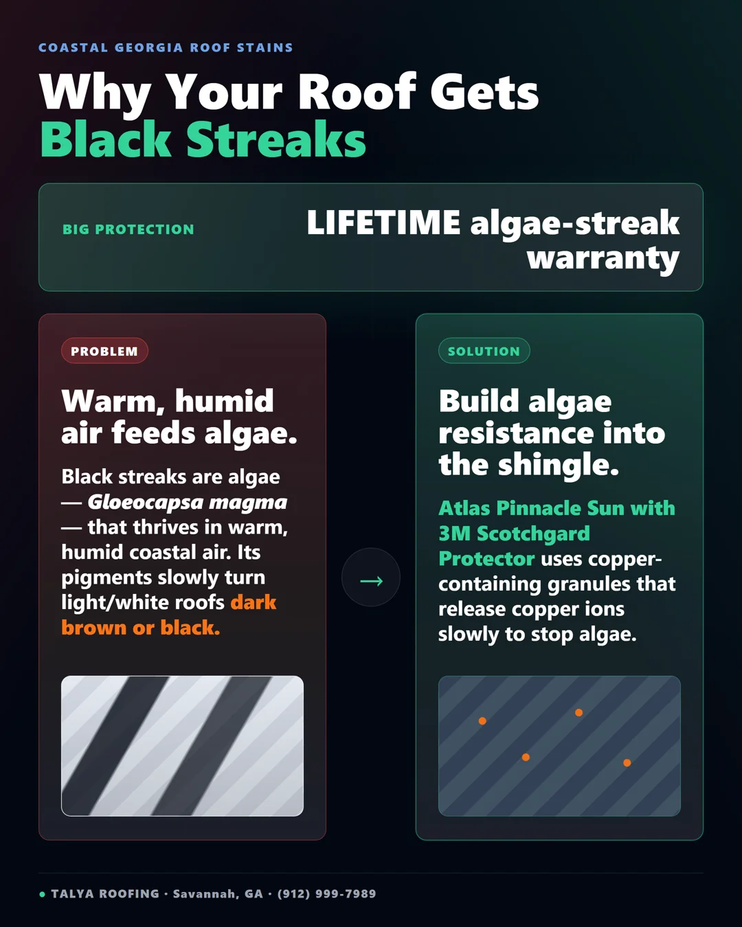 Infographic: why roofs get black streaks — algae Gloeocapsa magma thrives in warm humid coastal air and darkens light roofs over time; the fix is Atlas Pinnacle Sun with 3M Scotchgard Protector copper granules, backed by a lifetime algae-streak warranty.